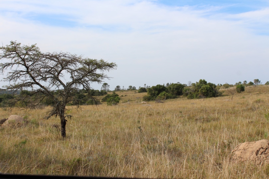 0 Bedroom Property for Sale in Bathurst Eastern Cape